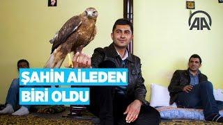 Şahin aileden biri oldu