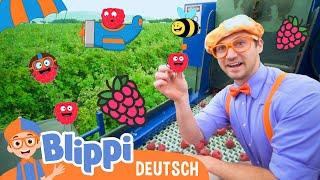 Blippi besucht eine Himbeerfabrik  Blippi Deutsch -  Abenteuer und Videos für Kinder