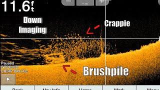 How to use Down Imaging to Find Crappie