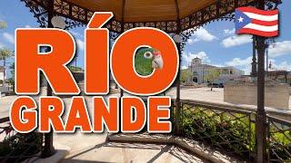 Río Grande Puerto Rico Experience the Beauty of These 5 Must-See Locations