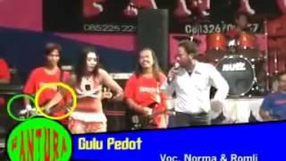 Dangdut Hot Goyang Seksi Pantura Gulu Pedot Goyang Koplo Hot Campursari Koplo