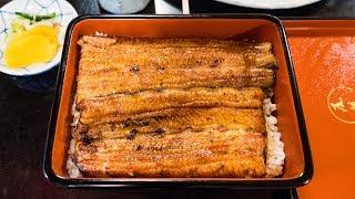 Unagi うなぎ - GRILLED EEL Japanese Food at Obana Restaurant 尾花 in Tokyo Japan