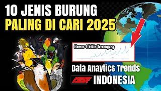 10 Jenis BURUNG Paling di cari 2025  Nomor 4 dan 8 gak nyangka‼️