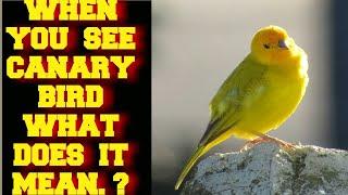 WHEN YOU SEE A CANARY BIRD WHAT DOES IT MEAN ?