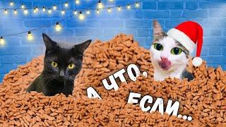 Реакция кота на большой мешок корма. Ремонт и приколы с животными  SANI vlog