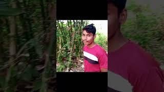 Sherani ka anda#ytshorts #comedy #funny