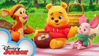 Playdate with Winnie the Pooh  Piglet Tigger and the Cardboard Box  Episode 4  @disneyjunior