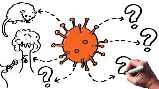 6 liens étonnants entre Coronavirus et Environnement  Ecologie Réchauffement climatique