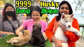 Serampore Pet Market New Update। Shrirampur Dog Market। Dog Market in Kolkata।