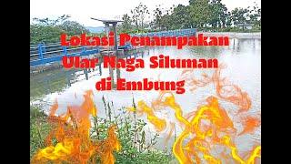 SURVEI LOKASI PENAMPAKAN ULAR NAGA SILUMAN DI EMBUNG