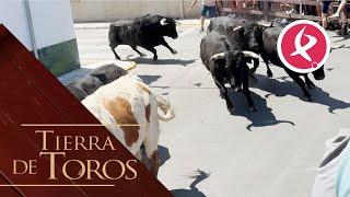 Los de Carmen Valiente cierran las fiestas en Moraleja  Tierra de Toros