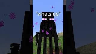 Why You Cant Look at Enderman...
