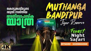 ആന ബസ് കുത്തി മറിക്കാൻ വന്നപ്പോള്‍  Muthanga Bandipur Forest KSRTC Night Bus  Jungle Safari #bus