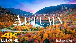 4K ULTRA HD HDR Enchanting Autumn Nature Scenes - Scenic Relaxation Film With Calming Music