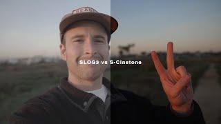 The Best Sony Picture Profile  SLOG3 vs S-Cinetone