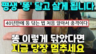 충격 평생 엉덩이에 똥 묻히고 살고 싶지 않다면 꼭 보세요