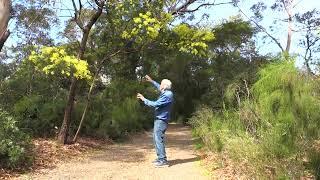 Country Driveway Bushland Setting