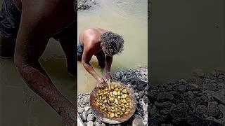 Rejeki hari inikami menemukan harta Karun emas di aliran sungai #gold #goldhunter #tambangemas