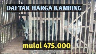 DAFTAR HARGA KAMBING PATI JATENG