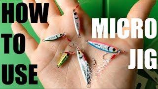 Micro Jig fishing from SHORE How to Use and Animate this Lure
