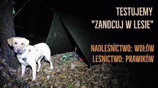 Zanocuj w lesie S01E01 Nadleśnictwo Wołów Leśnictwo Prawików