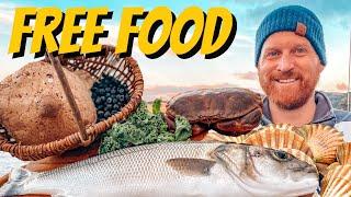 Coastal Foraging - Fish Bass Crab Plus Wild Edibles & A Cook Up 