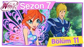 Winx Club - 7. Sezon 11. Bölüm - Ormanda görev TAM BÖLÜM