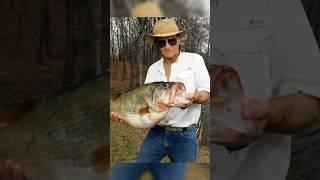 THE RECORD BASS THAT DIDN’T COUNT #bassfishing #fishing #shorts