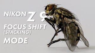 How to Use Focus Shift Stack with Nikon Z 9 Z 8 Z 7 Z 6