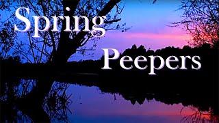 1 Hour of Nature SoundsSpring Peepers Music