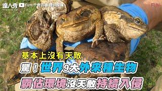 【驚！世界9大外來種生物 霸佔環境沒天敵持續入侵】｜@fun.