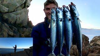 UK MACKEREL FISHING WITH METAL JIGS FISHING FOR FOOD