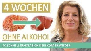 30 Tage ohne Alkohol Wie sich unser Körper vom Gift erholt.  Fettleber Übergewicht Magen Darm