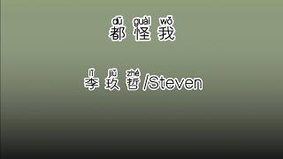 《都怪我》 李玖哲 ｜ STEVEN 【高音质歌词版】 中文拼音