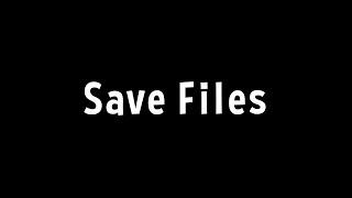 Save Files R7