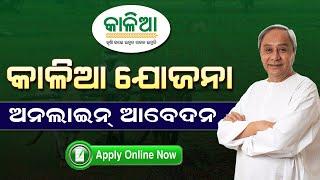 Kalia Yojana Online Apply  How To Apply Kalia Yojana Online 2023 Online Grievance Application Form