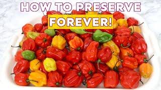 SCOTCH BONNET - How to Preserve SCOTCH BONNET for as Long as You WISH  Plus Tips on How to Use