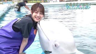 Eng Sub Miku Itos adventures as an aquarium caretaker - The Aquatope on White Sand