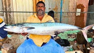 KASIMEDU  MINNAL RAJA  13 KG BIG SEER FISH CUTTING VIDEO  IN KASIMEDU  FF CUTTING 
