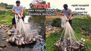 viral.. jala ikan di sungai dangkal pedalaman Taiwan  hunting net fishing tilapia fish