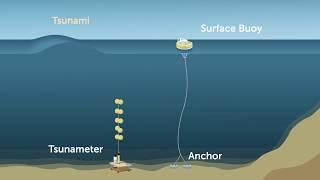 Australias tsunami detection system