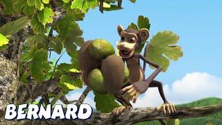 Bernard Bear  Monkey Business AND MORE  30 min Compilation  Cartoons for Children