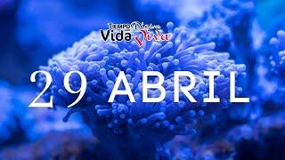 Tu Tiempo con Dios 29 de Abril de 2023 2 Samuel 121-15