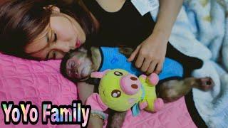 Baby monkeyMom gave monkey YoYo drink milk and Sleep Family yoyos