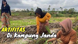 AKTIFITAS  DI KAMPUNG JANDA BIKIN TENANG PIKIRAN