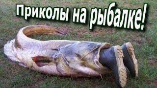 Необычные случаи на рыбалке