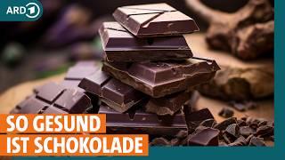 Schokolade So gesund ist sie wirklich bei Bluthochdruck I ARD Gesund