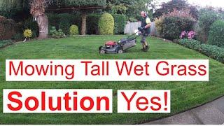 How To To Mow Tall Wet Grass Have I Found The Solution.