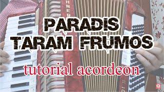 Paradis tărâm frumos - Fratii Strugariu  tutorial acordeon