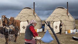 Nomadic life in remote mountains Making Natural dairy product